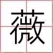 薇名字